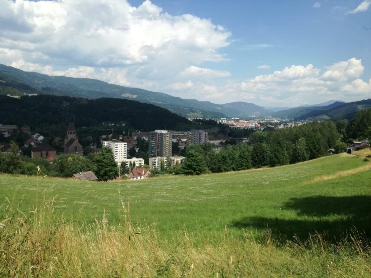Privatzimmer Wagner Leoben (Styria) Exterior foto